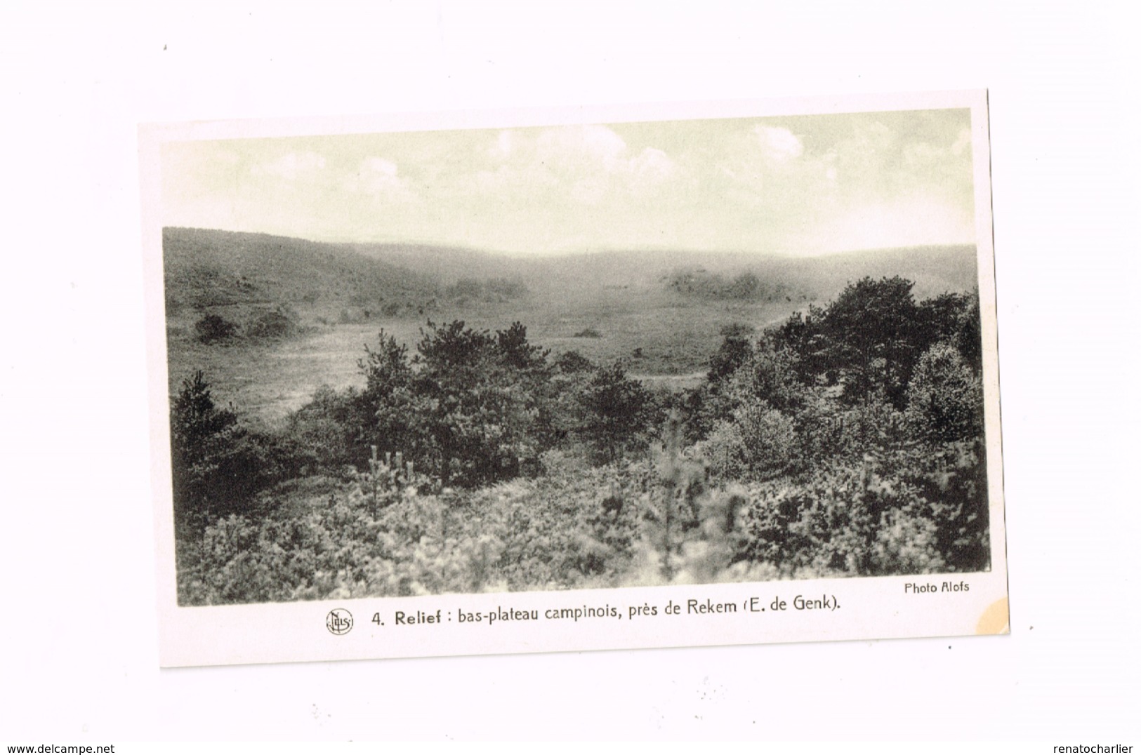 Bas Plateau Campinois,près De REkem. - Lanaken