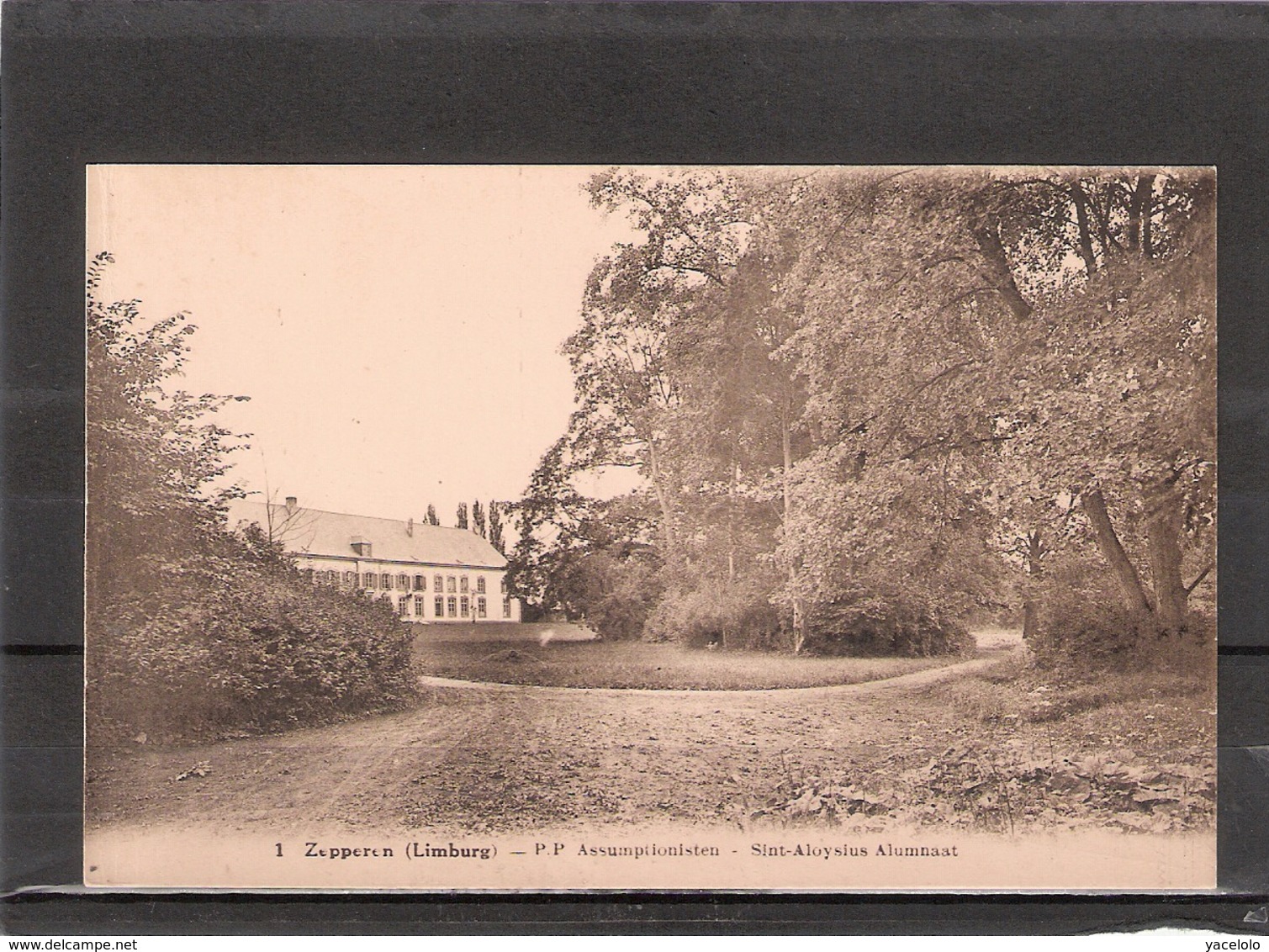 1. Zepperen ( Limburg ) -- P.P. Assumptionisten   -  Sint Aloysius Alumnaat - Sint-Truiden