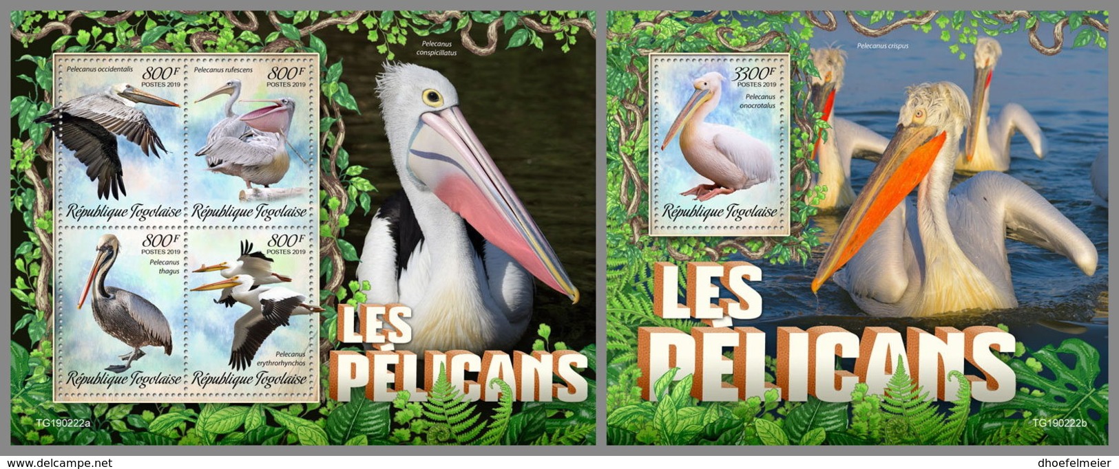 TOGO 2019 MNH Pelicans Pelikane M/S+S/S - OFFICIAL ISSUE - DH1927 - Pélicans