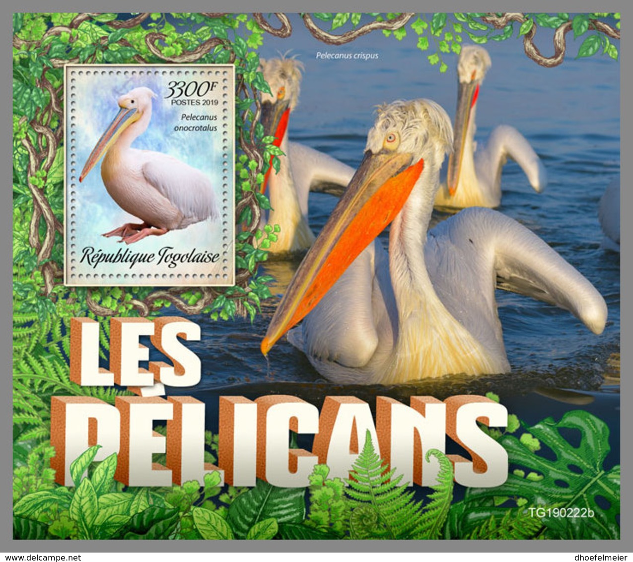 TOGO 2019 MNH Pelicans Pelikane S/S - IMPERFORATED - DH1927 - Pélicans