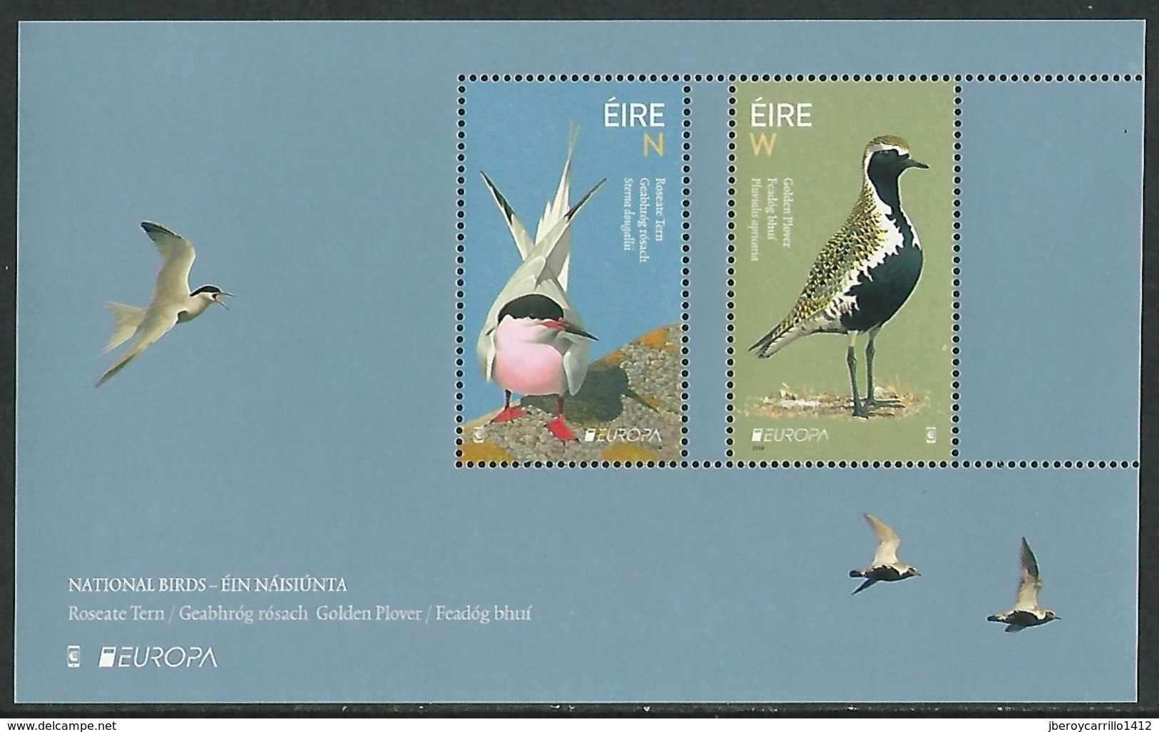 IRLANDA /IRELAND / IRLAND / ÉIRE / EUROPA 2019 -NATIONAL BIRDS.-"AVES - BIRDS - VÖGEL -OISEAUX"- SOUVENIR SHEET/BLOCK - 2019