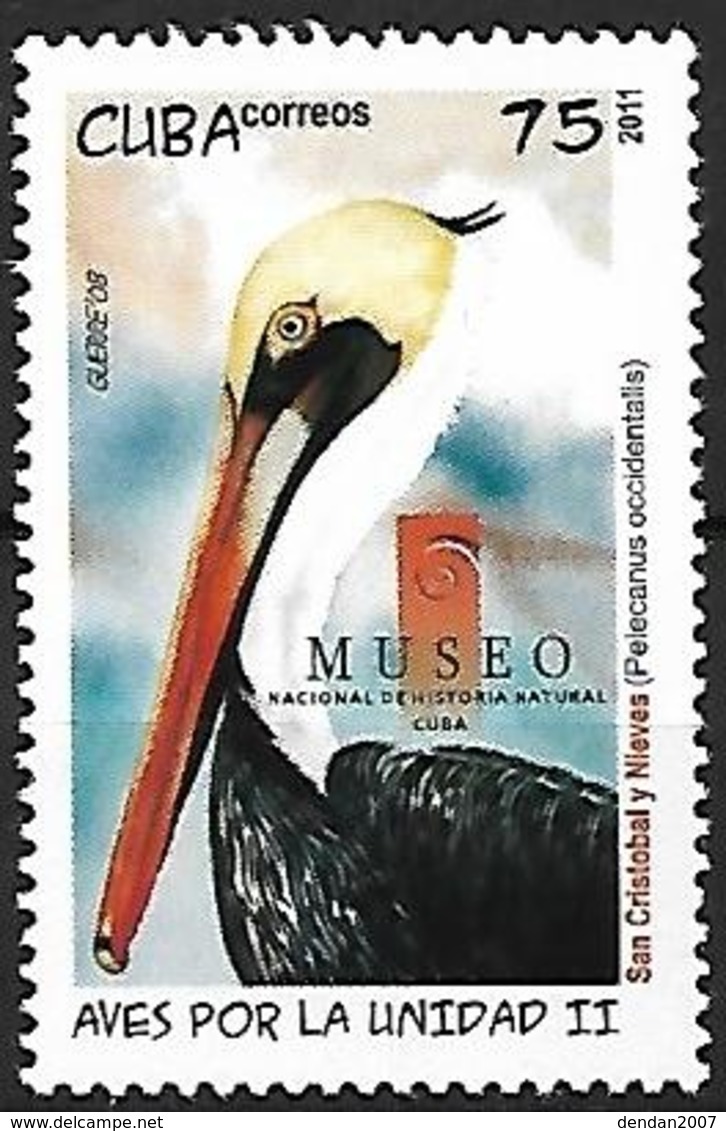 CUBA - MNH - 2011 -   Brown Pelican    Pelecanus Occidentalis - Pelikane