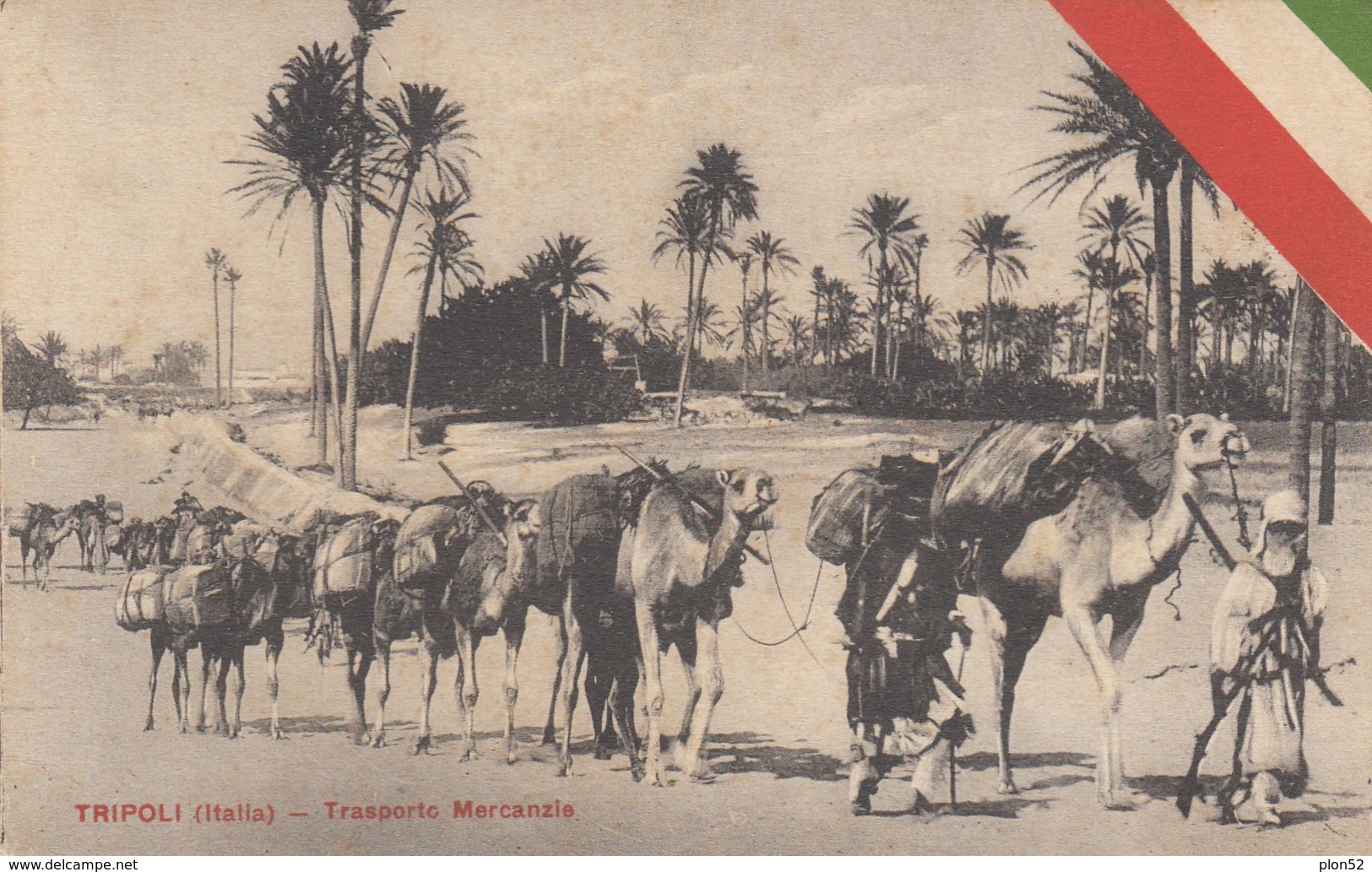 12643-TRIPOLI(LIBIA)-GUERRA ITALO-TURCA-TRASPORTO MERCANZIE SU CAMMELLI-1913-FP - Libia