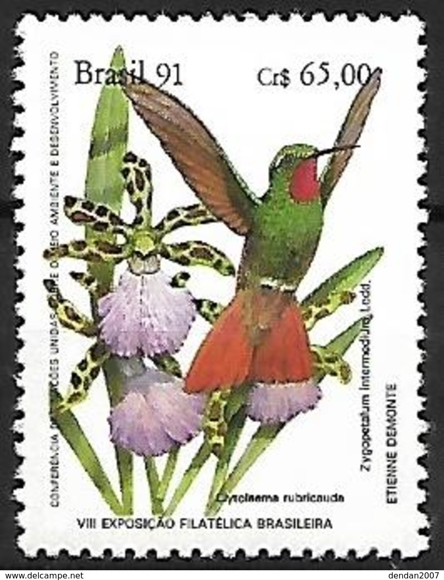 BRAZIL - MNH - 1991 - Brazilian Ruby    Clytolaema Rubricauda - Hummingbirds