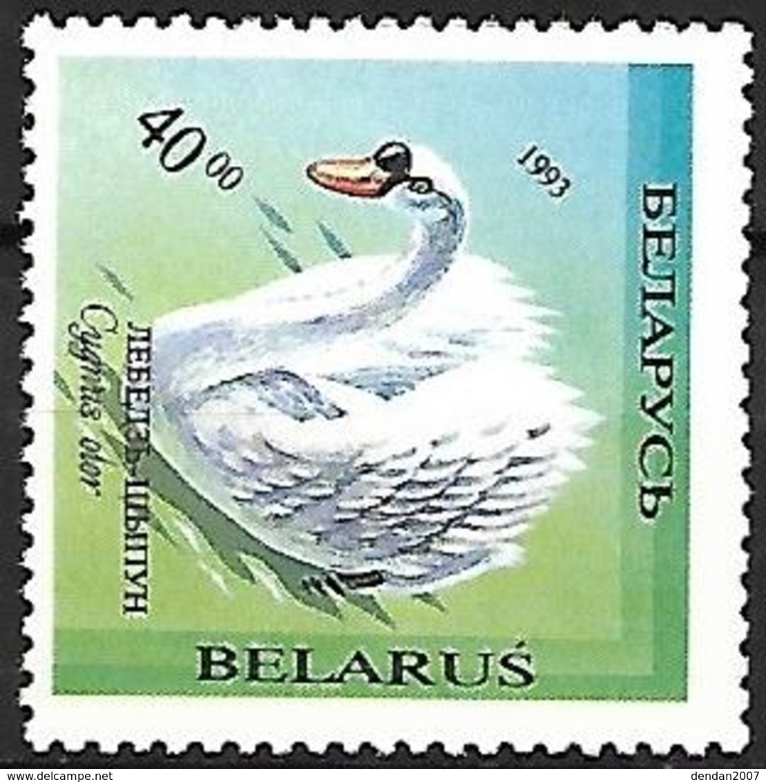 BELARUS - 1994 - MNH - Mute Swan    Cygnus Olor - Swans