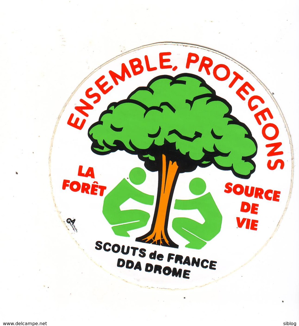 Autocollant - Scouts De France - DDA Drôme - "Ensemble, Protégeons" - Diam. 9 Cm - Autocollants