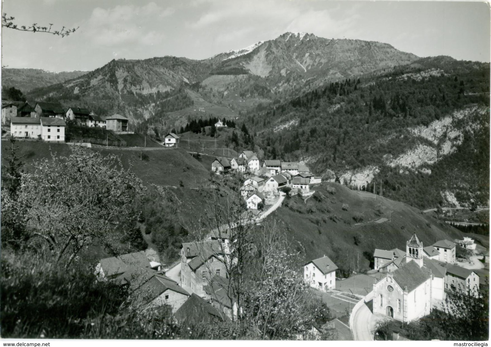 MUINA  OVARO  UDINE  Carnia  Panorama  Paese Della Pace - Udine