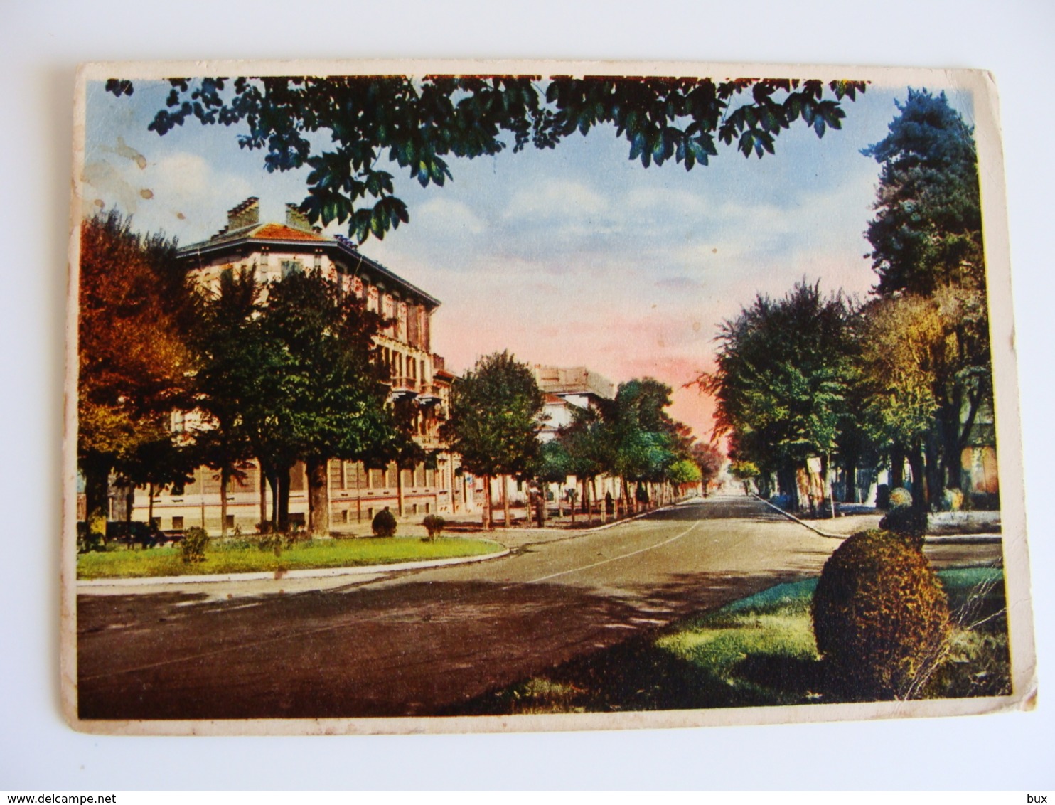 1938  CUNEO-VIALE DEGLI ANGELI  ARTISTICA ARTISTIQUE  ED CECAMI      PIEMONTE  VIAGGIATA COME DA FOTO - Cuneo