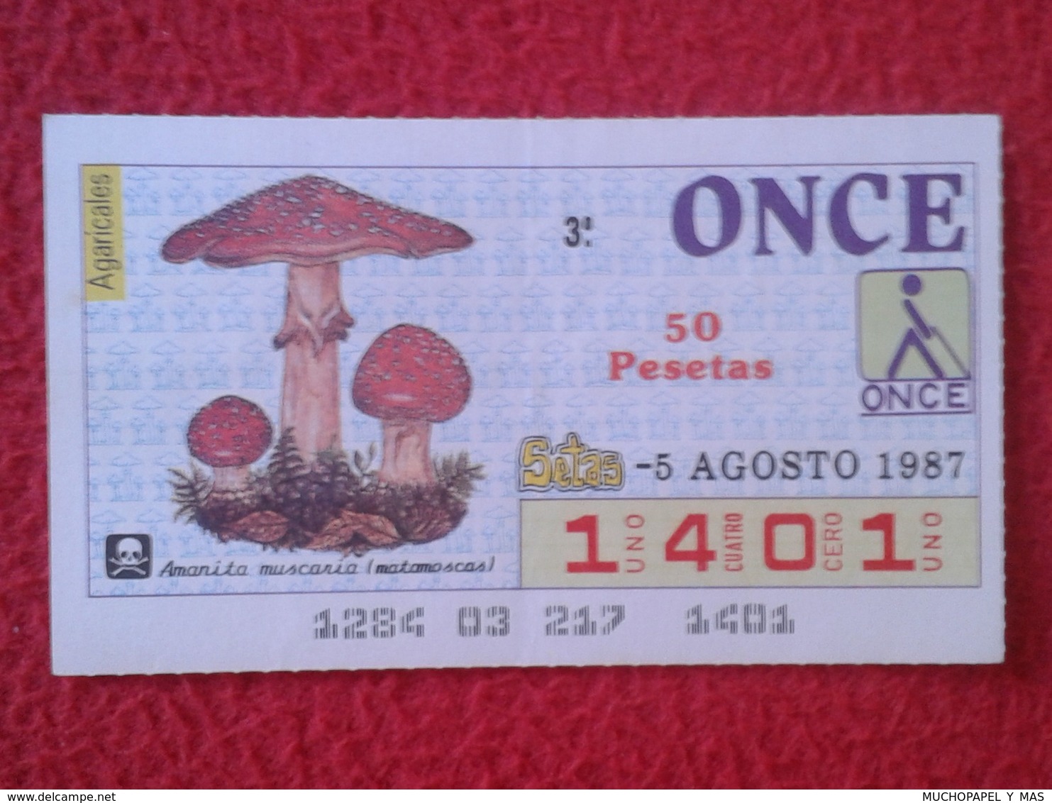 CUPÓN DE ONCE LOTTERY CIEGOS SPAIN LOTERÍA BLIND SETA SETAS MICOLOGÍA HONGOS MUSHROOM CHAMPIGNON HONGO AMANITA MUSCARIA - Billetes De Lotería