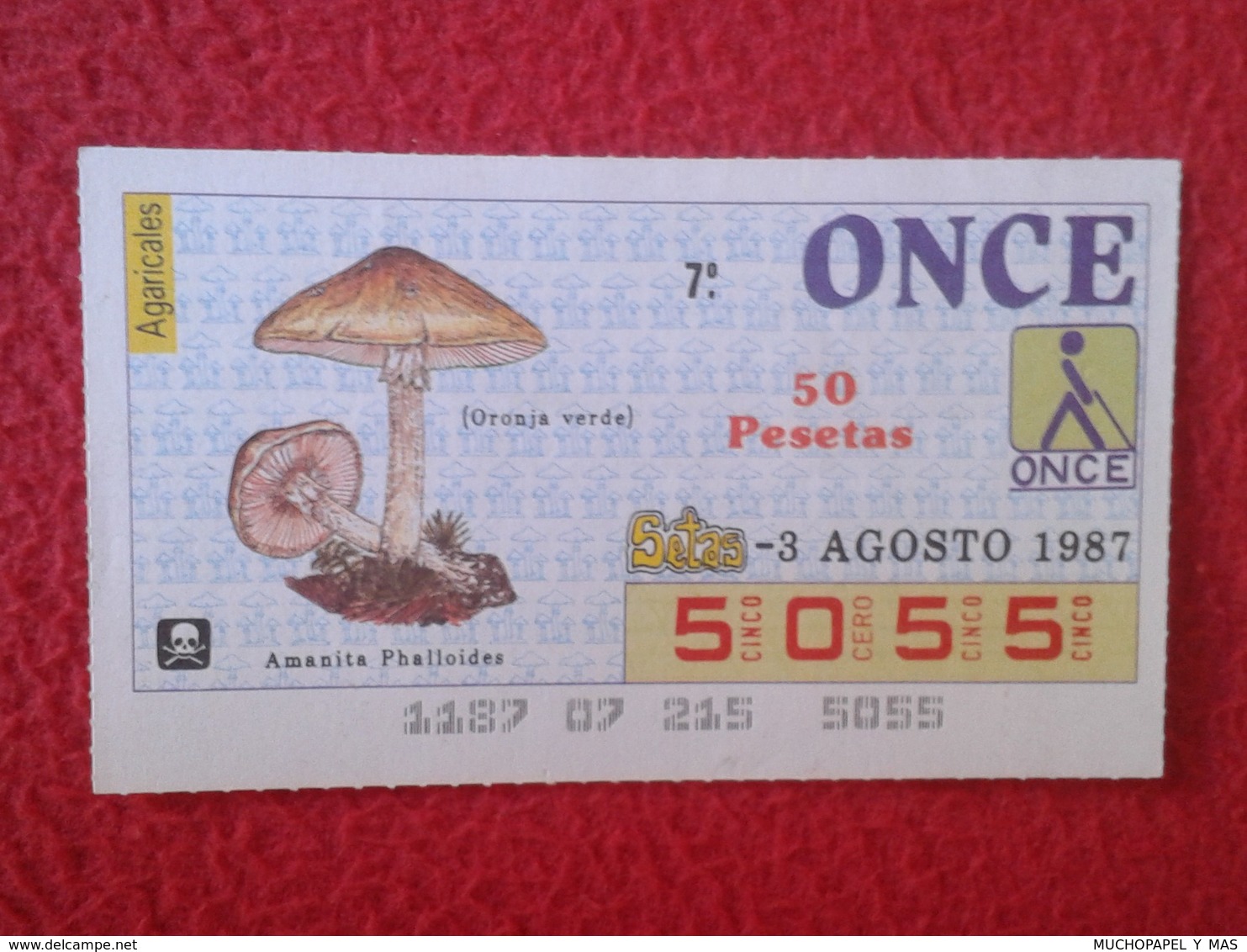 CUPÓN DE ONCE LOTTERY CIEGO SPAIN LOTERÍA BLIND SETA SETAS MICOLOGÍA HONGOS MUSHROOM CHAMPIGNON HONGO AMANITA PHALLOIDES - Billetes De Lotería