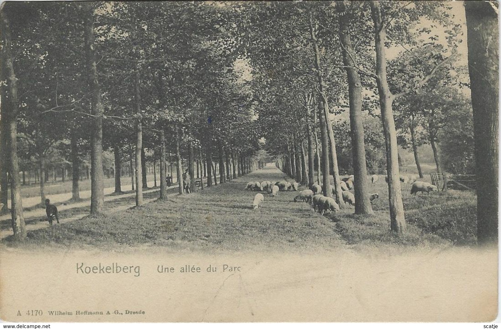 Koekelberg    Une Allée Du Parc.   -    Jette   1900 - Koekelberg