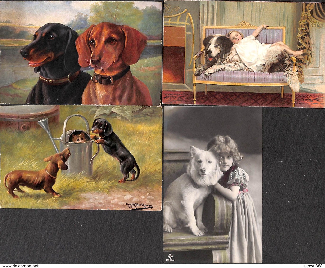 Chien Dog Hond - Lot 4 Cartes (animation, Illustrateur...) - Chiens