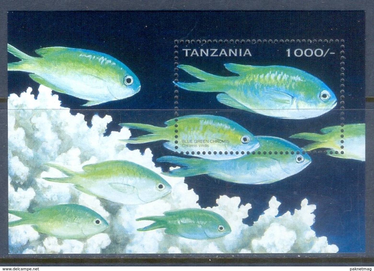 D163- Tanzania. Fish. Marine Life. - Fishes
