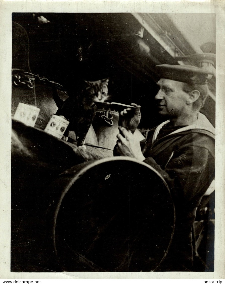 SAILOR OF BRITISH BATTLESHIP FEEDING THE MASCOT GATO CHAT KAT CAT  21*16CM Fonds Victor FORBIN 1864-1947 - Barcos