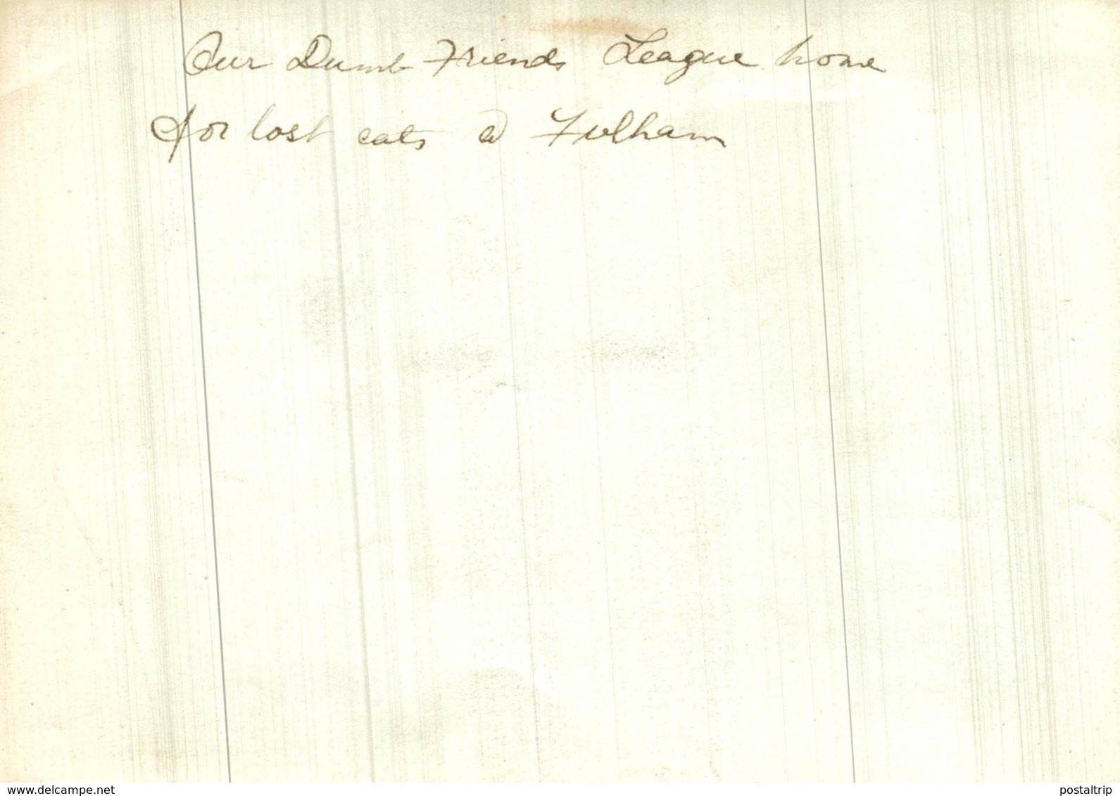 HOME FOR LOST CATS FULHAM  GATO CHAT KAT CAT  16*12CM Fonds Victor FORBIN 1864-1947 - Otros & Sin Clasificación