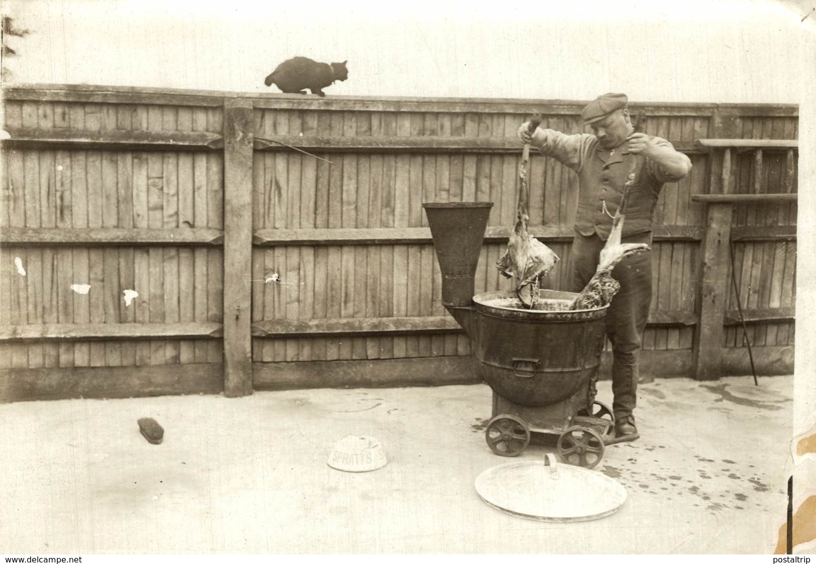 QUARANTAINE HOME FOR DOGS PREPARING MEAL   GATO CHAT KAT CAT  16*12CM Fonds Victor FORBIN 1864-1947 - Sin Clasificación