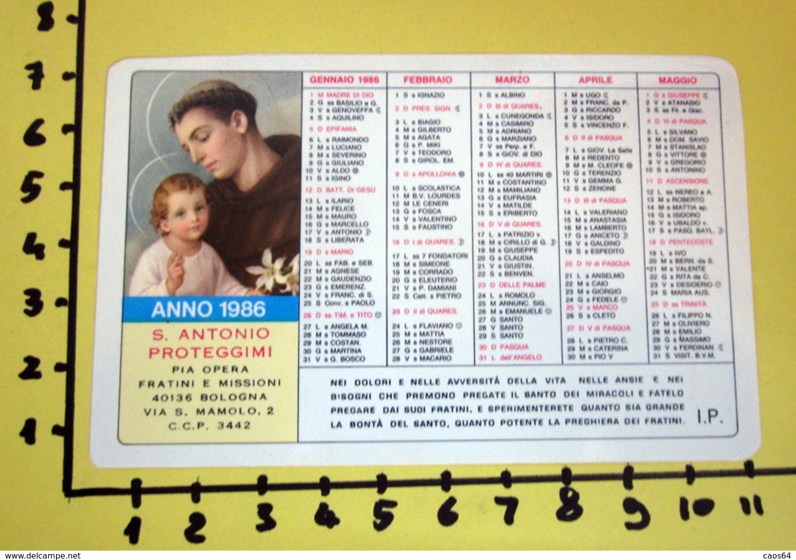 S. ANTONIO 1986  CALENDARIO TASCABILE PLASTIFICATO - Formato Grande : 1981-90