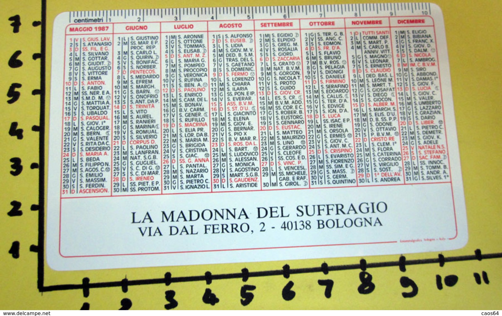 LA MADONNA DEL SUFFRAGIO BOLOGNA 1987  CALENDARIO TASCABILE PLASTIFICATO - Grossformat : 1981-90