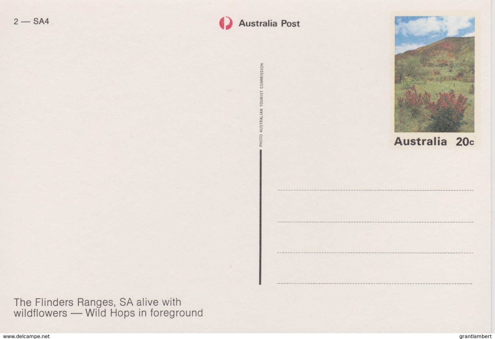 Flinders Ranges With Wildflowers, South Australia - Prepaid PC, Unused - Flinders Ranges