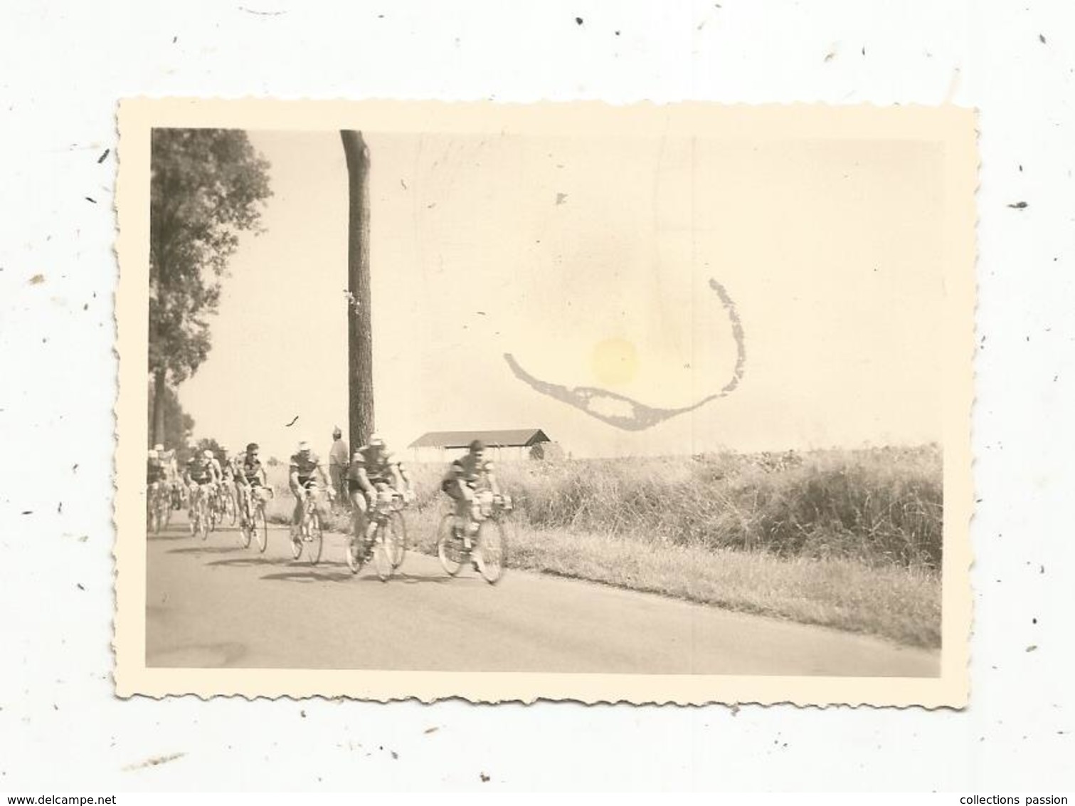 Photographie ,sports ,cyclisme , Course Cycliste, 90 X 60 Mm - Sports