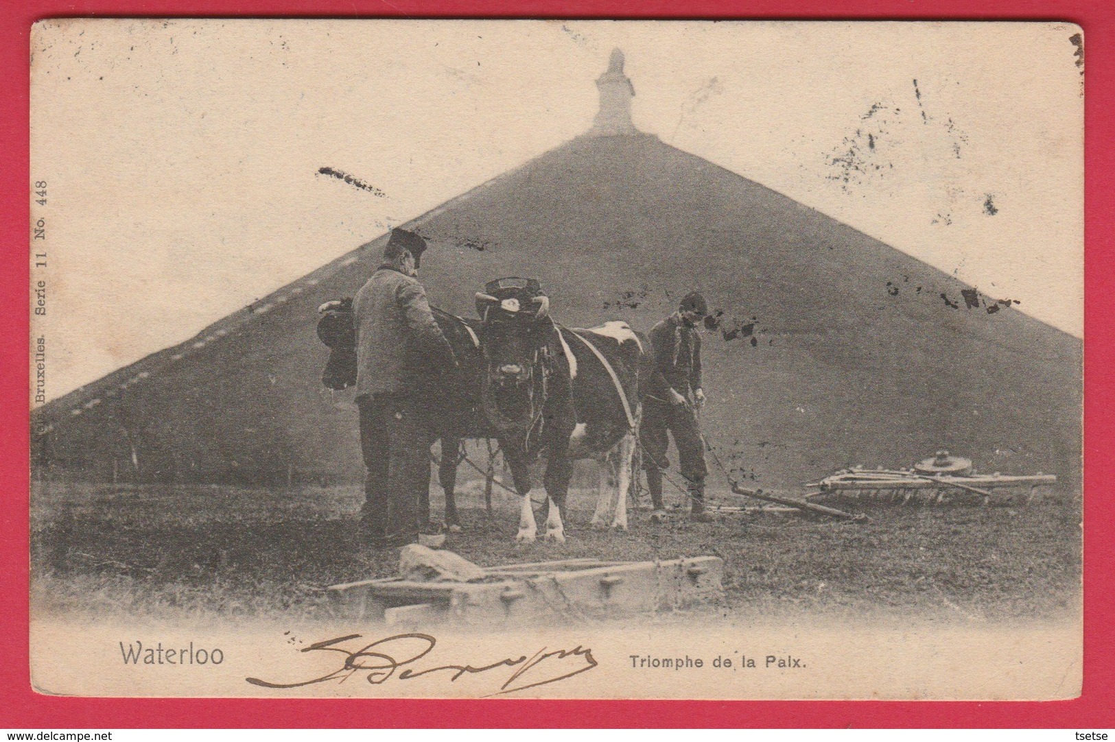 Waterloo -Top Carte - Triomphe De La Paix  ... Le Laboureur Et Son Attelage De Boeufs - 1902  ( Voir Verso ) - Waterloo