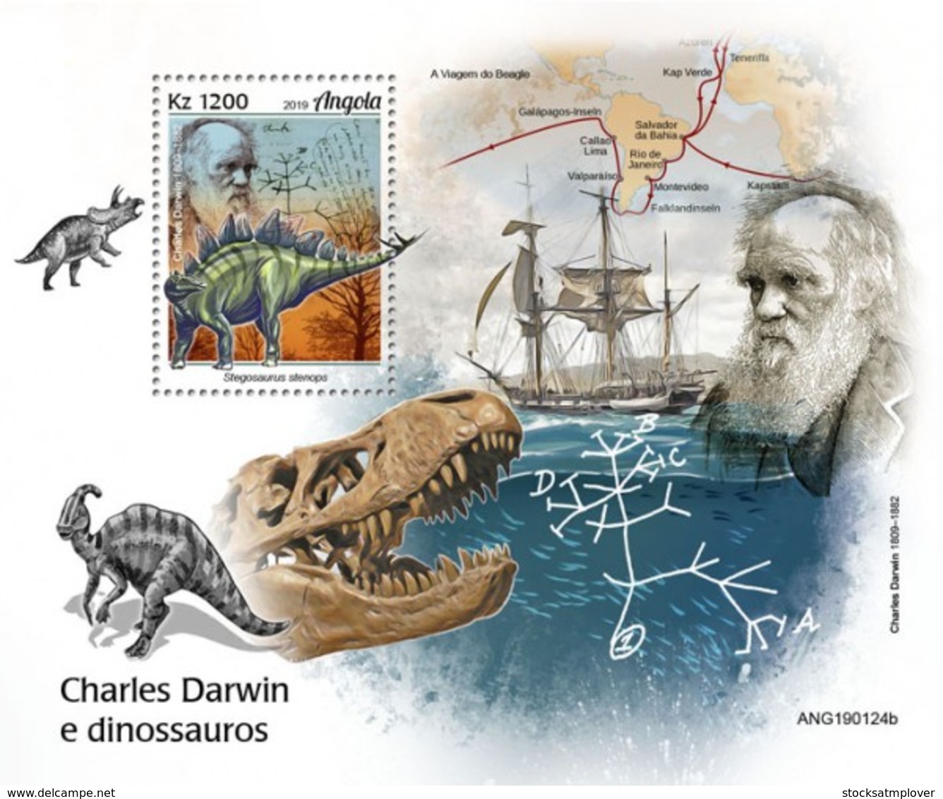 Angola   2019 Charles Darwin And Dinosaurs   S201905 - Angola