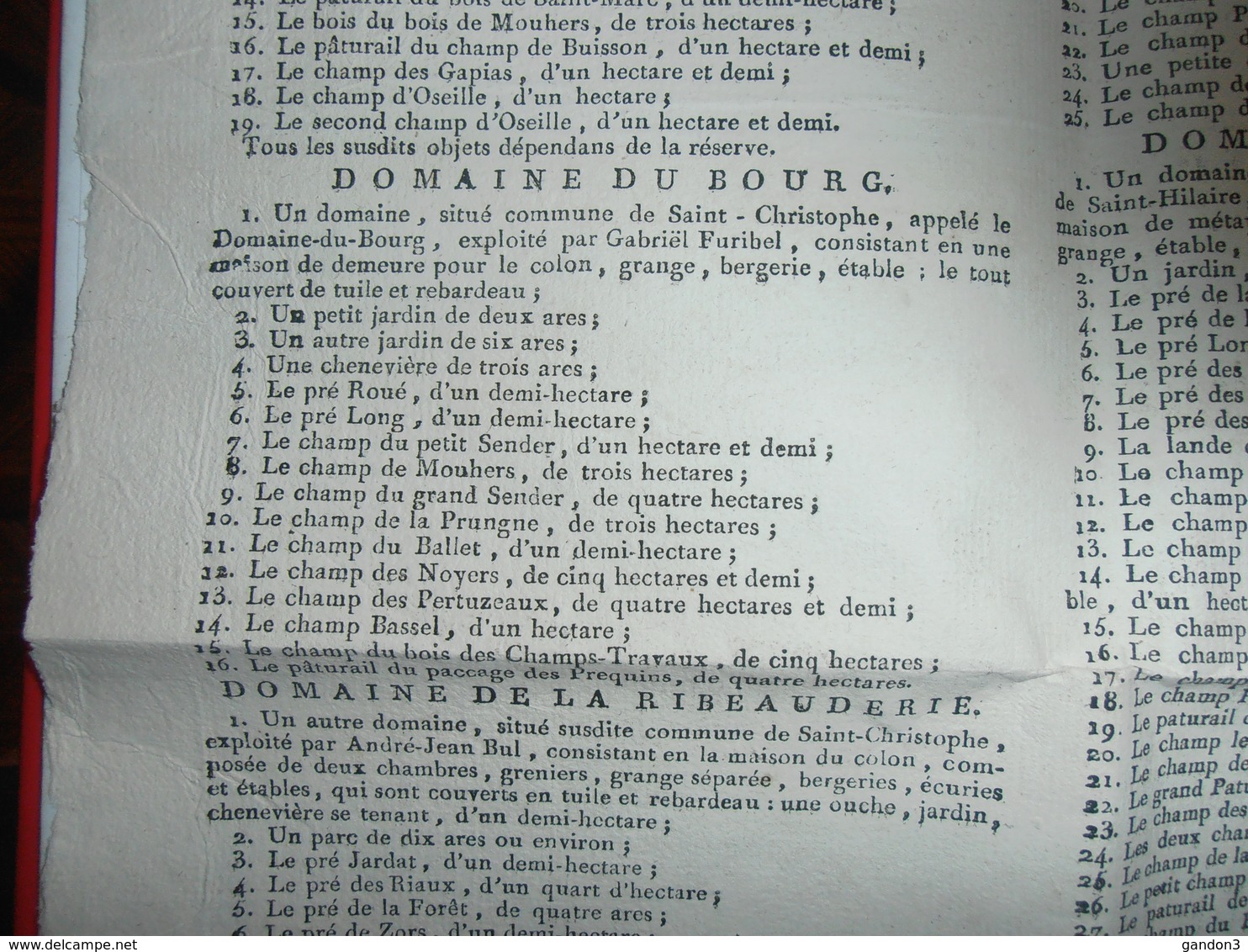 Document  Affiche :   Vente De  Biens Patrimoniaux Situés Dans Le Canton De LA CHATRE Et Ses Environs - 1780-1790- - Centre - Val De Loire