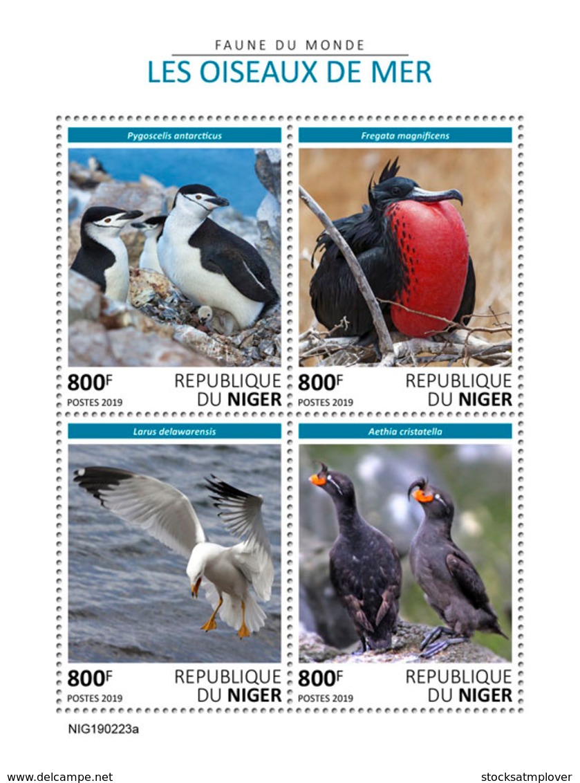 Niger  2019  Fauna   Seabirds  S201905 - Niger (1960-...)