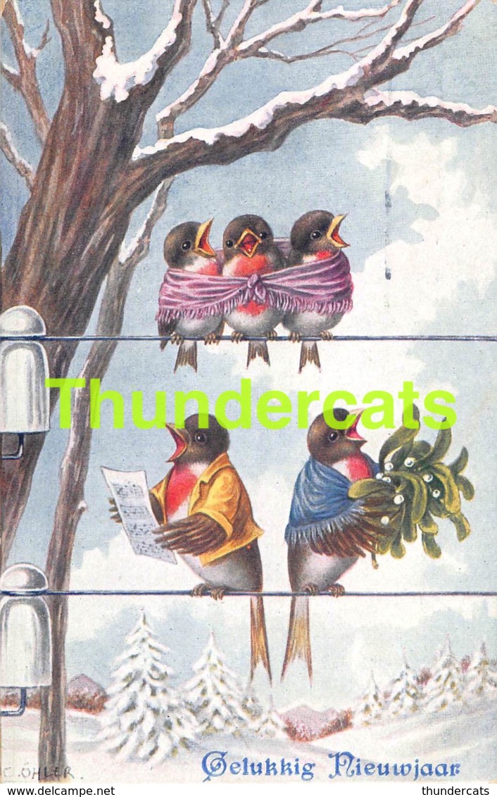 CPA ILLUSTRATEUR OISEAUX ARTIST SIGNED BIRDS OHLER BKWI B K W I - Autres & Non Classés