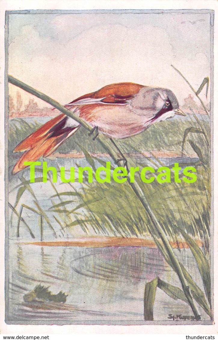 CPA ILLUSTRATEUR  ARTIST SIGNED KUPERUS OISEAU BIRD VOGEL - Autres & Non Classés