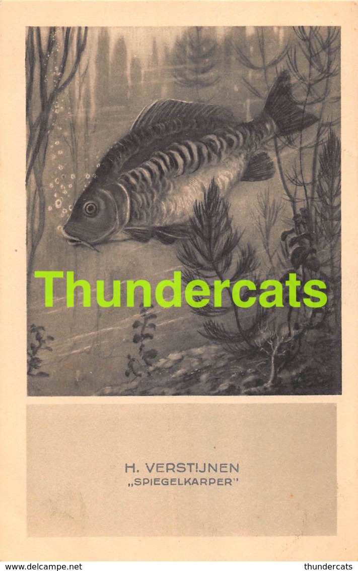 CPA ILLUSTRATEUR  ARTIST SIGNED VERSTIJNEN VERSTYNEN VIS POISSON FISH KARPER - Autres & Non Classés