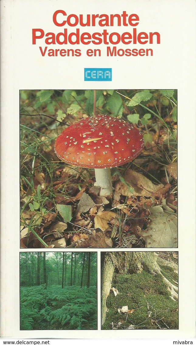 COURANTE PADDESTOELEN VARENS EN MOSSEN ( PILZE CHAMPIGNONS ZWAMMEN FUNGI FUNGHI ) CERA  1991 - Other & Unclassified