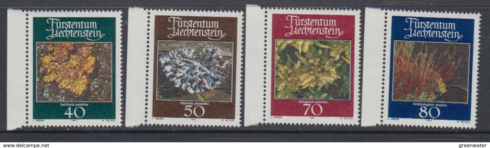 Liechtenstein 1981 Weavers / Moose Und Flechten 4v  ** Mnh (43515A) - Ongebruikt