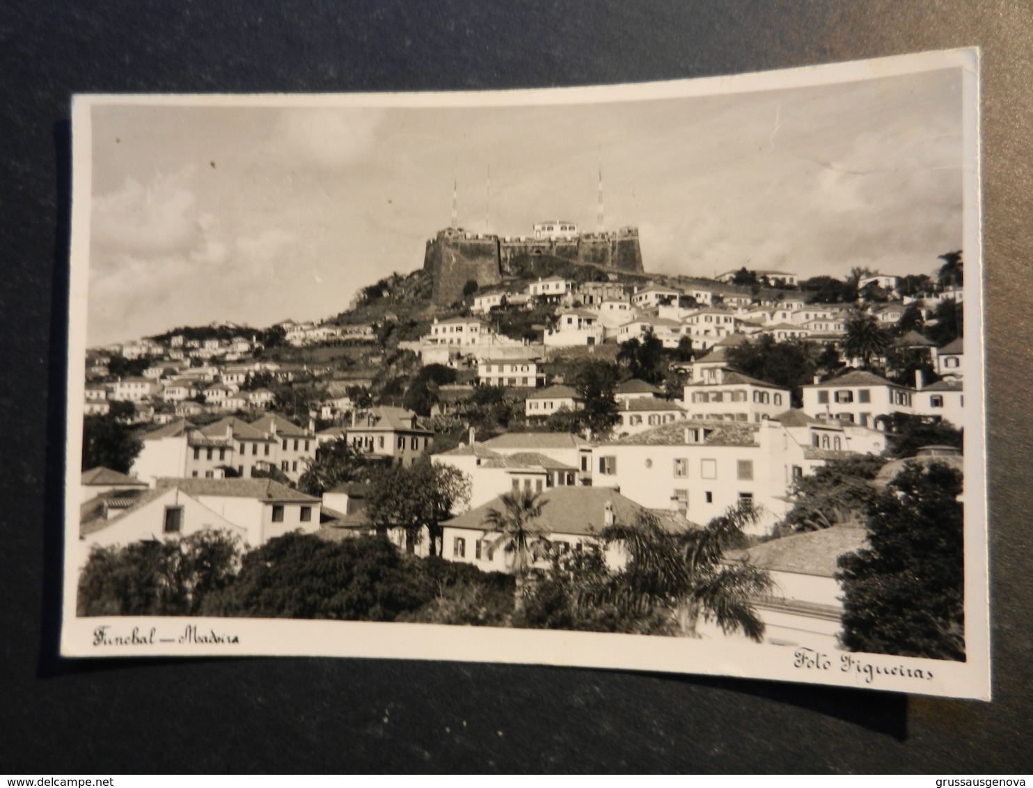 19957) FUNCHAL MADEIRA FOTO FIGUEIRAS VIAGGIATA - Madeira