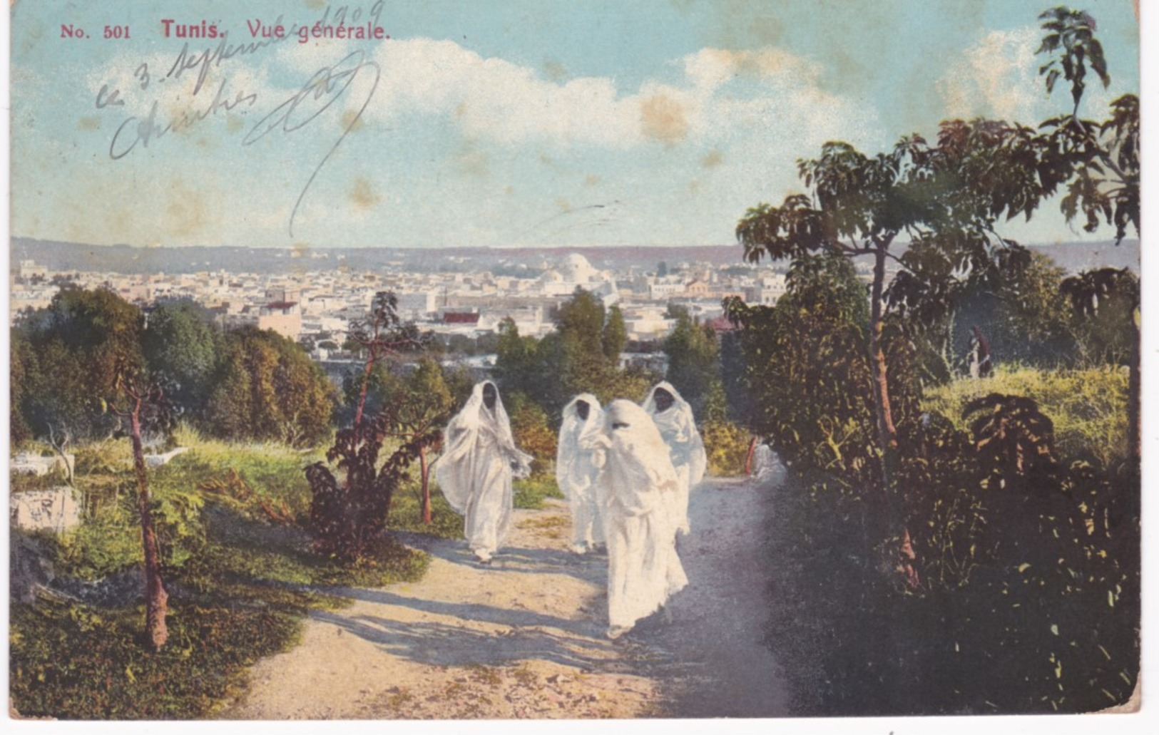 Tunisie -  TUNIS -  Vue Générale - 1909 - Tunisie