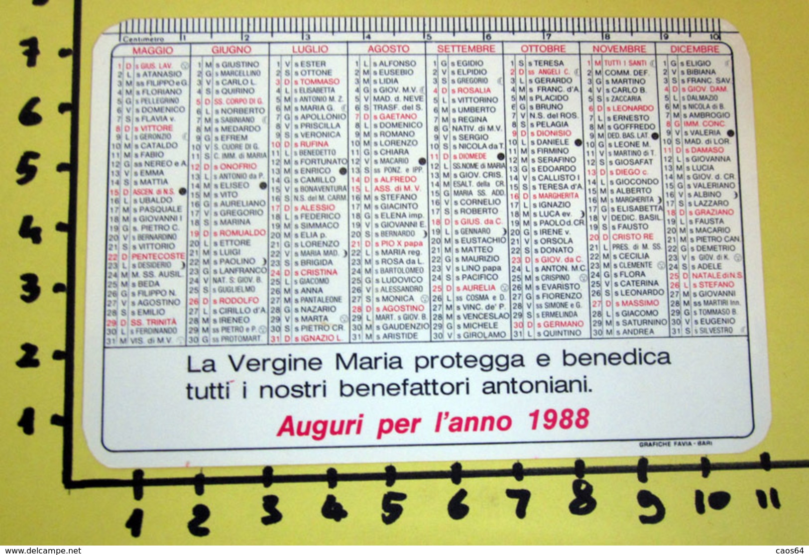 SANTUARIO S. ANTONIO TRANI 1988  CALENDARIO TASCABILE PLASTIFICATO - Big : 1981-90