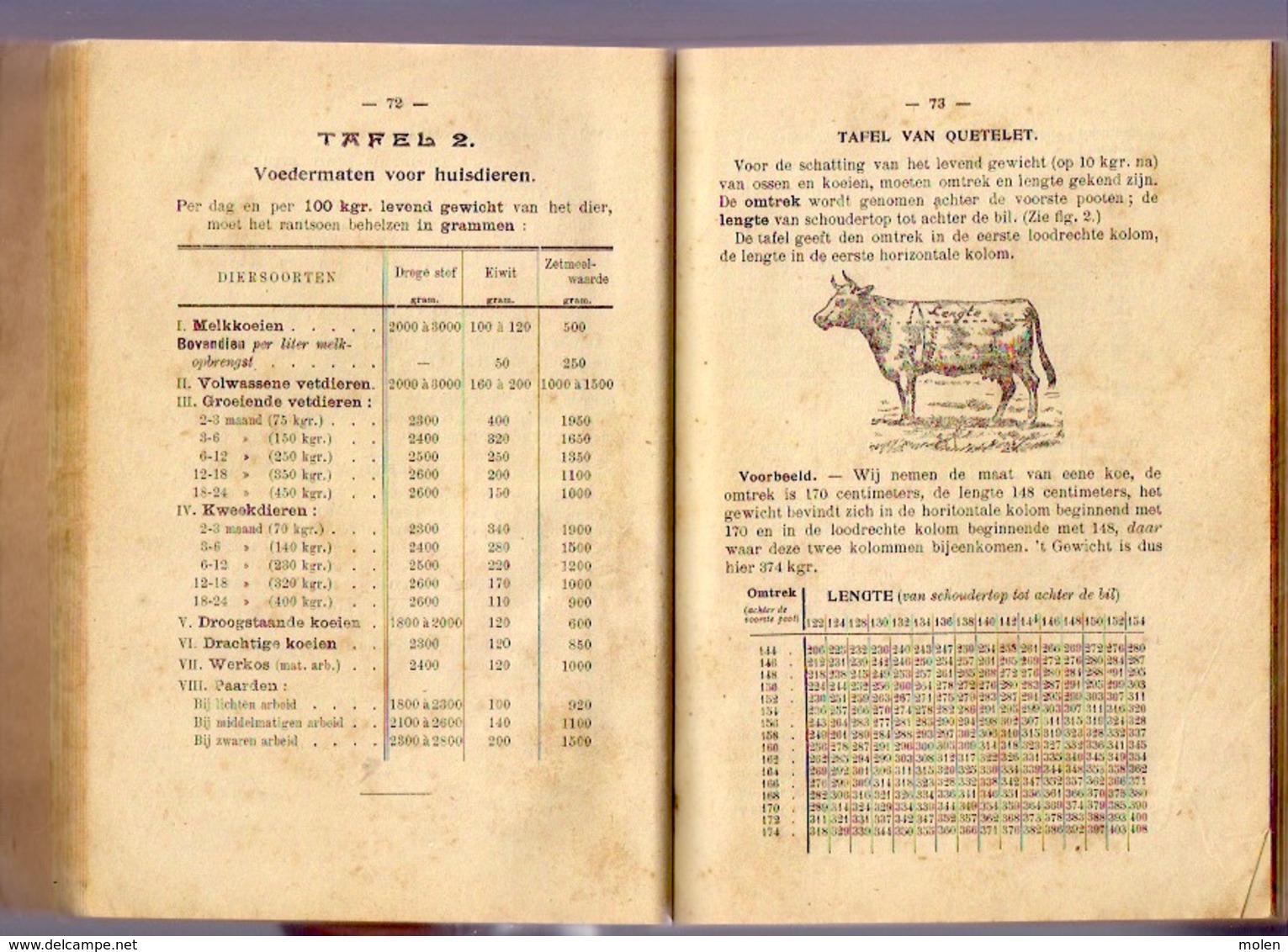 DIERKUNDE OP DE HOEVE ©1923 161pp Veeteelt Landbouw Vee Koe Stier Zwijn Kip Kalf Varken Hoenders Boer Landbouwer Z735 - Elevage