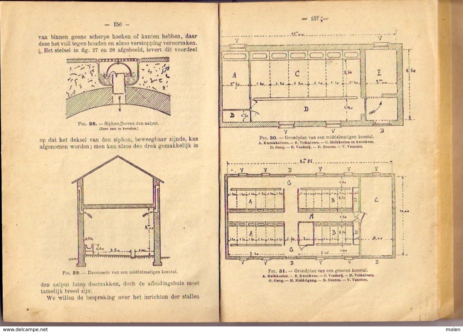 DIERKUNDE OP DE HOEVE ©1923 161pp Veeteelt Landbouw Vee Koe Stier Zwijn Kip Kalf Varken Hoenders Boer Landbouwer Z735 - Elevage