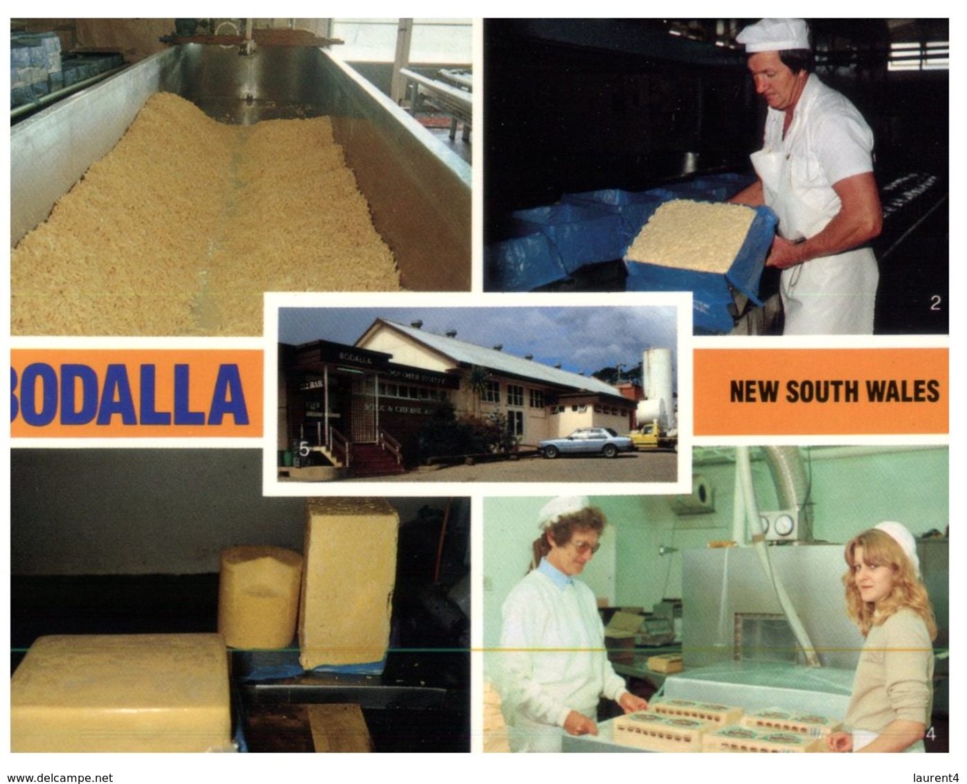 (ED 56) Australia - NSW - Bodella Cheese Factory - Banques