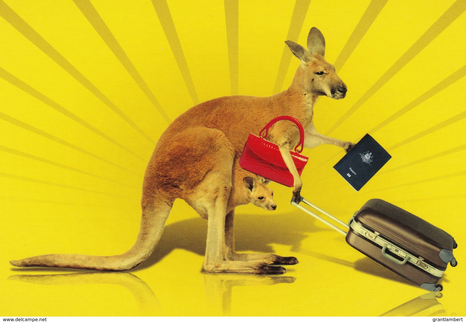 Kangaroo Travelling, Australia - Government PC, Unused - Other & Unclassified