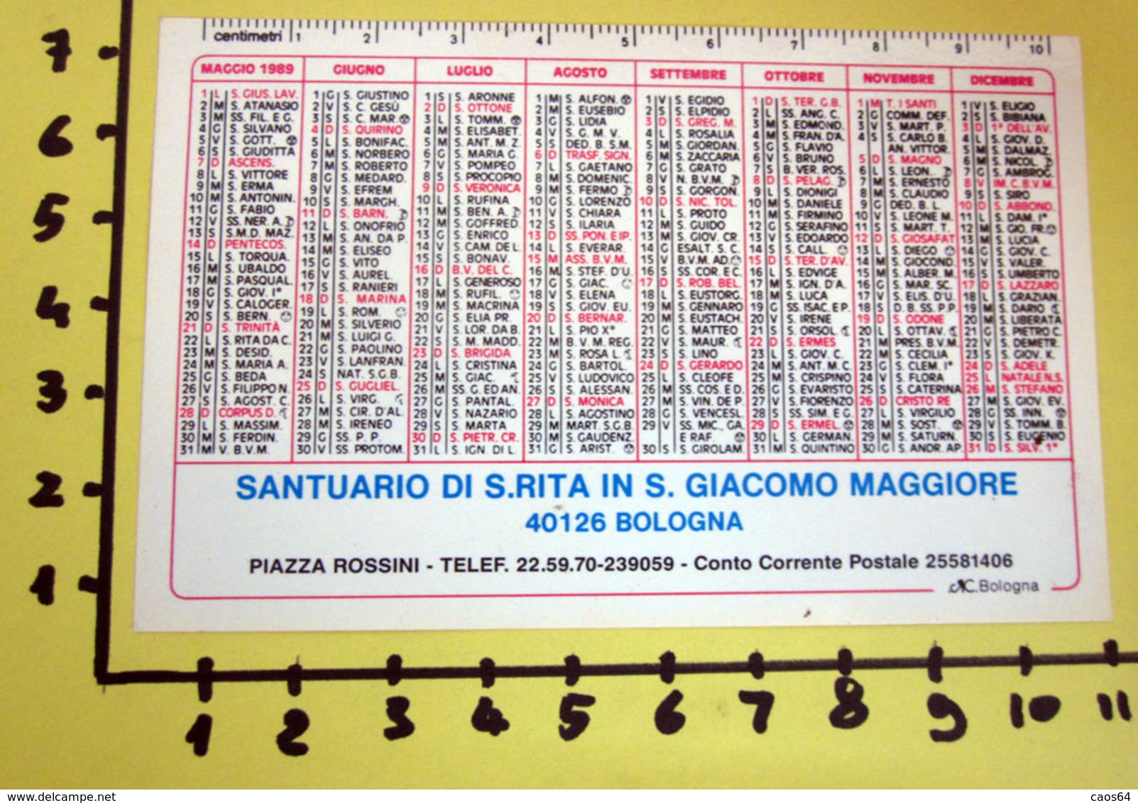 S. RITA SANTUARIO IN S. GIACOMO MAGGIORE 1989  CALENDARIO TASCABILE PLASTIFICATO - Big : 1981-90