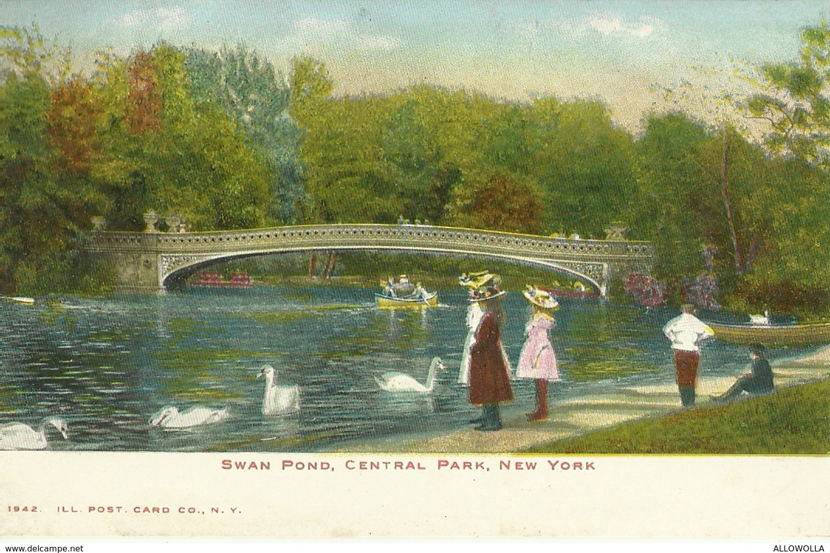 4648 " SWAN POND-CENTRAL PARK-NEW YORK " -CART. POST. ORIG. NON SPED. - Central Park