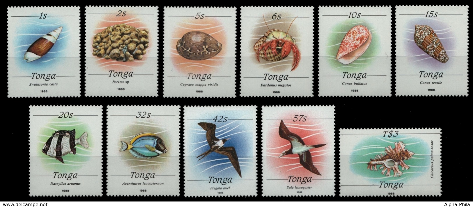 Tonga 1988 - Mi-Nr. 1037-1047 II ** - MNH - Meerestiere / Marine Life - Tonga (1970-...)