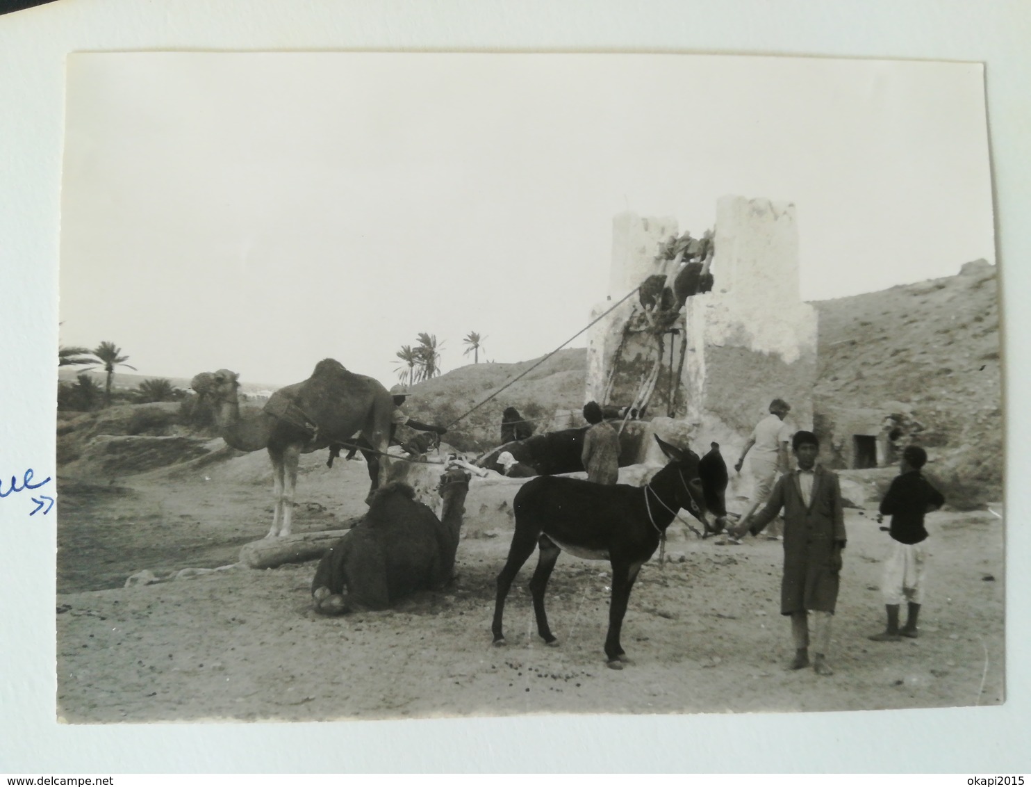 PAPA  FAIT LE HOULA - HOP FÊTE PLAGE MER LESSIVE AU PUITS AVEC CHAMEAU DJERBA TUNISIE MÉLI-MÉLO 120 PHOTOS