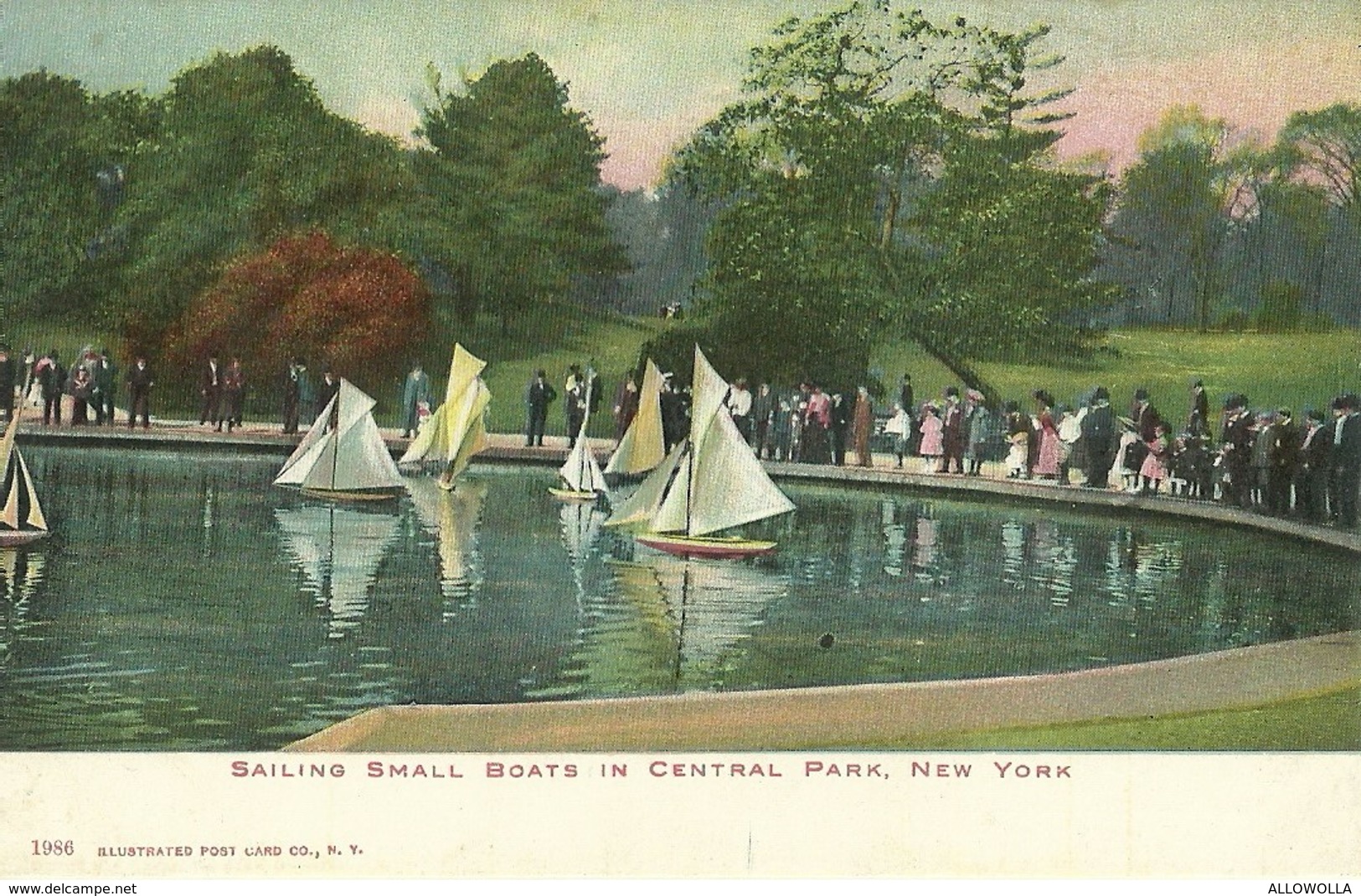 4659" SAILING SMALL BOATS IN CENTRAL PARK-NEW YORK " ANIMATA-CART. POST. ORIG. NON SPED. - Central Park