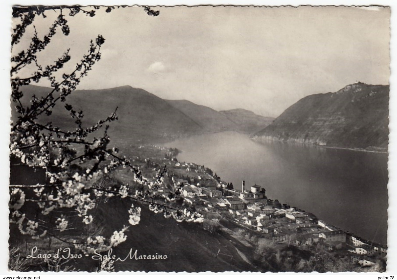 LAGO D'ISEO - SALE MARASINO - BRESCIA - 1957 - Brescia