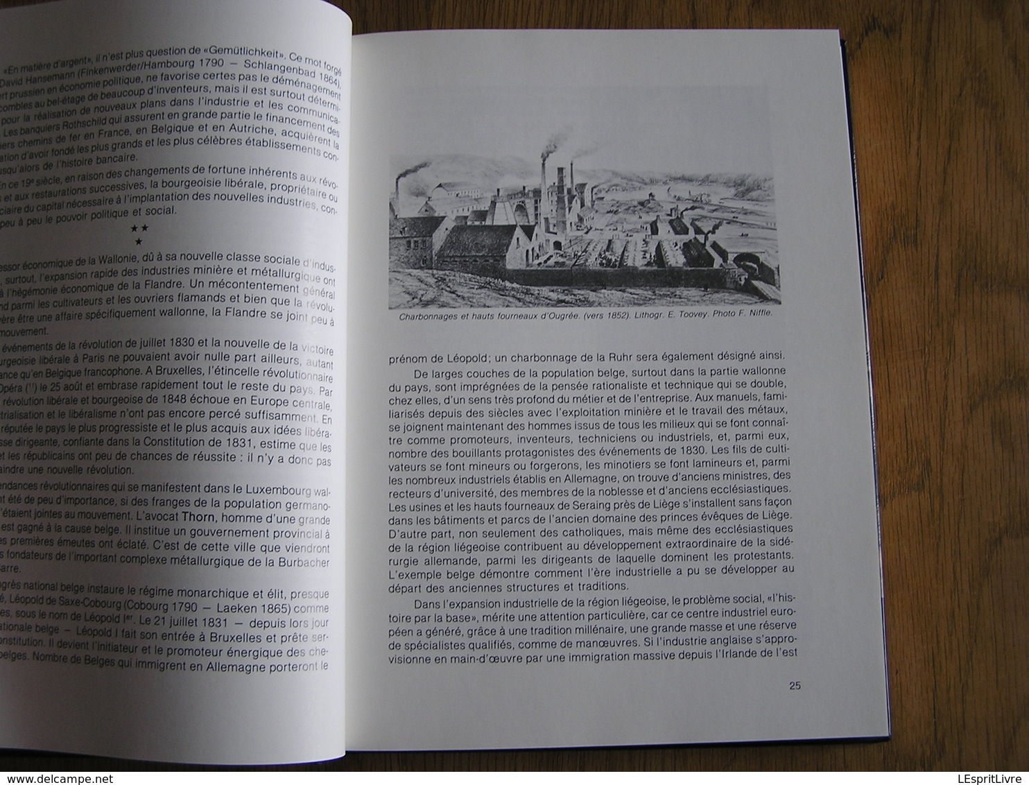 LES WALLONS PIONNIERS DE L' INDUSTRIE ALLEMANDE Régionalisme Liège Piedboeuf Chaudière Düren Aix Aachen Mine Charbonnage