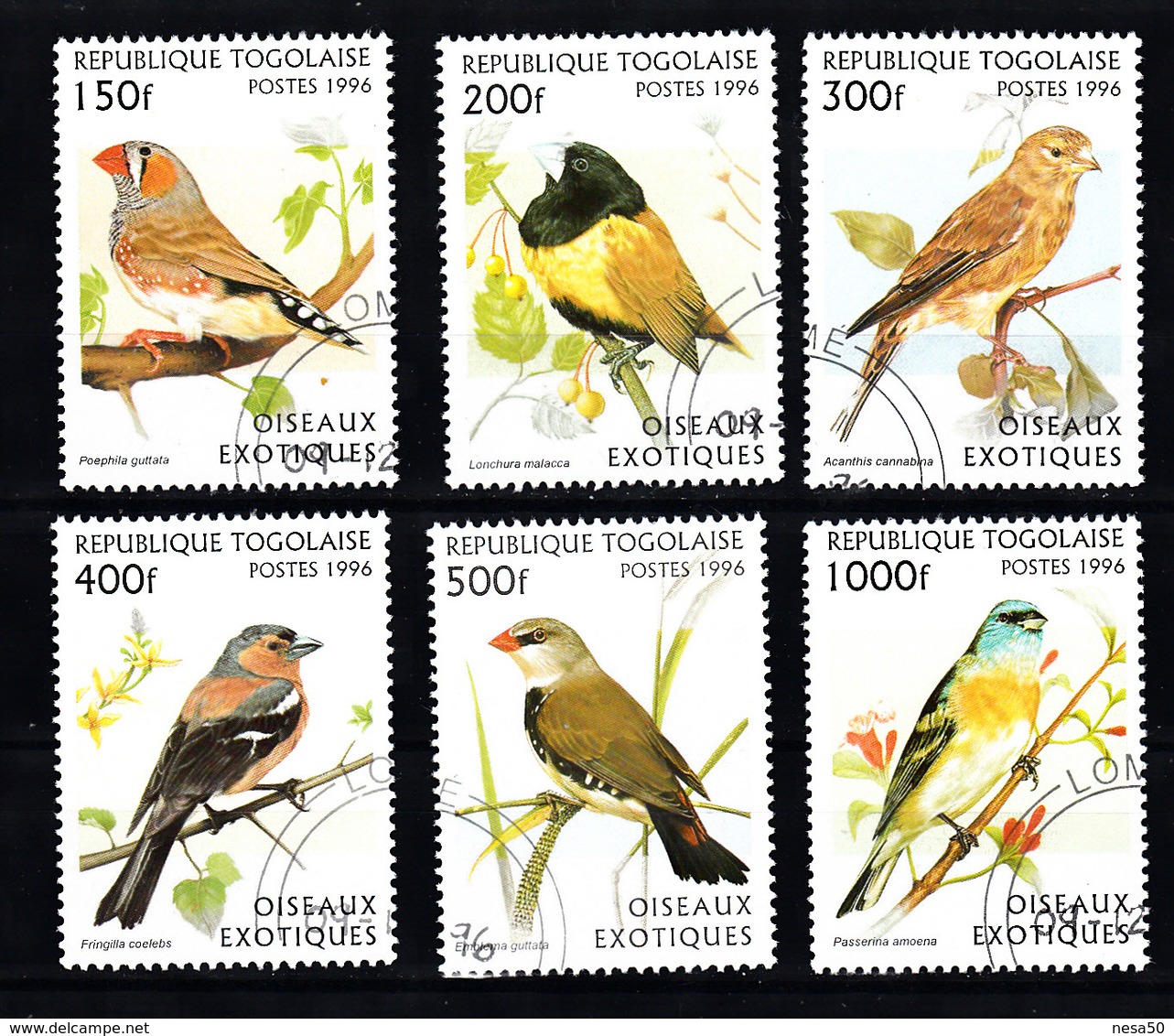 Togo 1996 Mi Nr  2473 - 2478,  Vogels, Bird - Togo (1960-...)