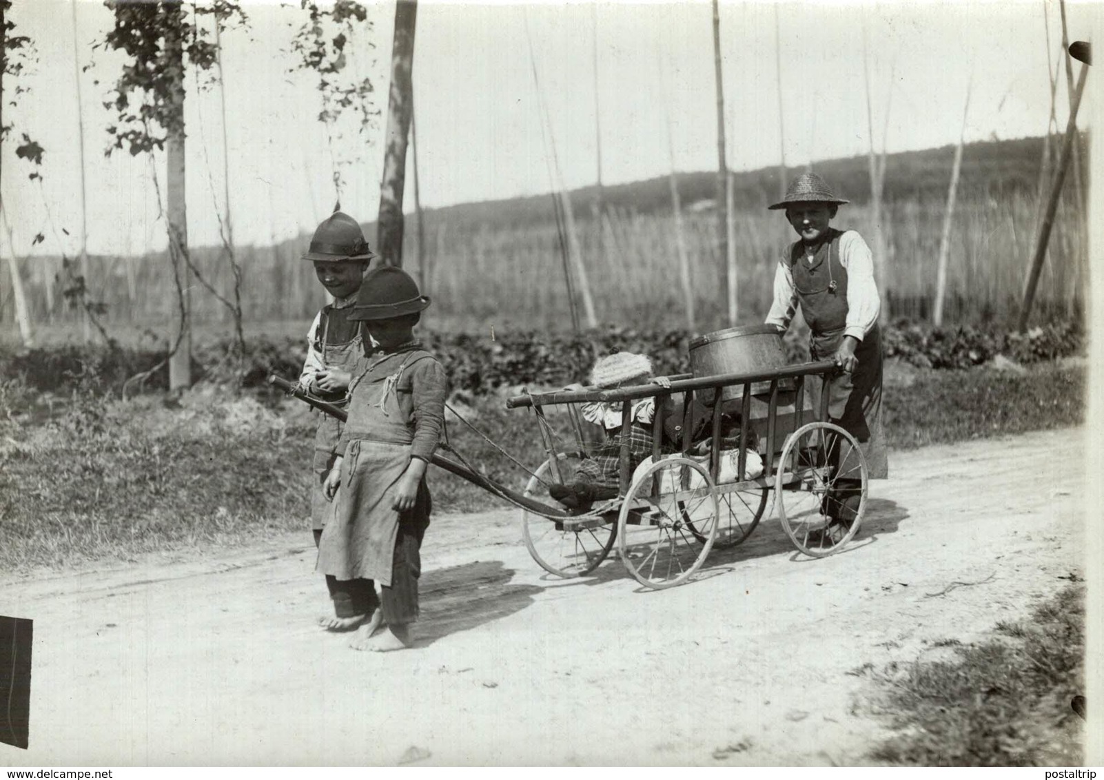 HOP PICKING  BAVARIA GERMANY DEUTSCHLAND Hallertau Holledau HOPFEN +- 16* 12 CM Fonds Victor FORBIN (1864-1947) - Sin Clasificación