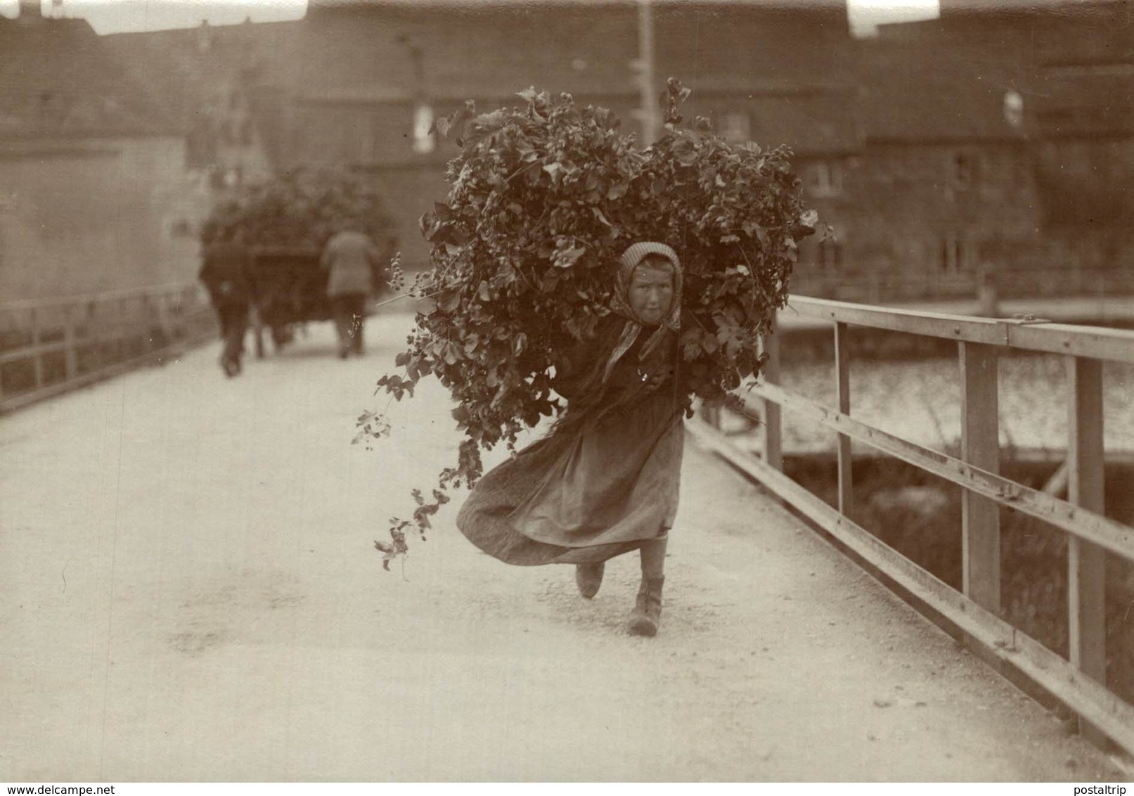 HOP PICKING  BAVARIA GERMANY DEUTSCHLAND Hallertau Holledau HOPFEN +- 16* 12 CM Fonds Victor FORBIN (1864-1947) - Profesiones